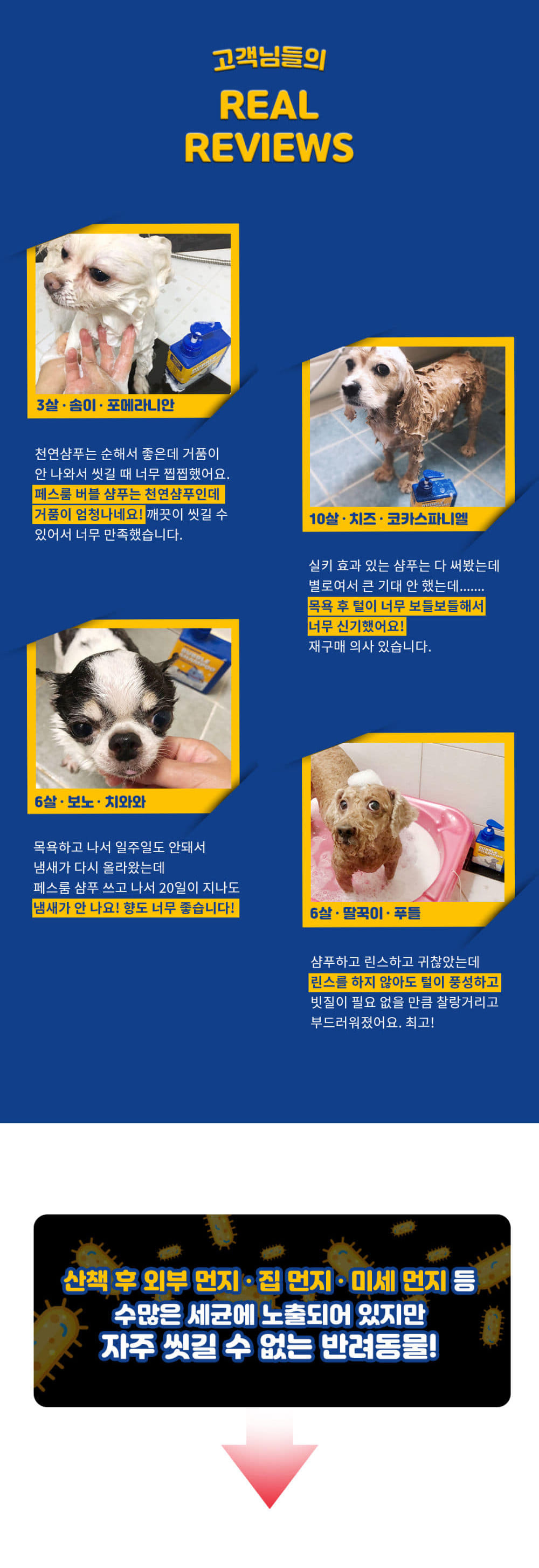 버블 샴푸 독스 상세 이미지 3